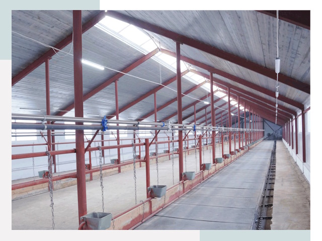 Строительство коровников в Шелехове от 643 руб.