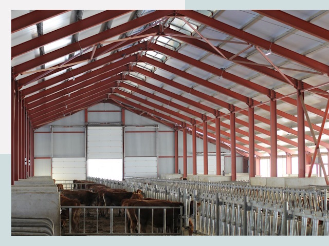 Строительство коровников в Шелехове